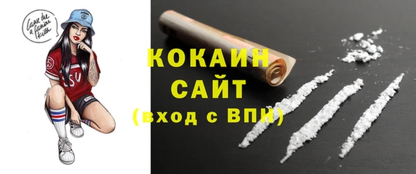 шишки Алексин