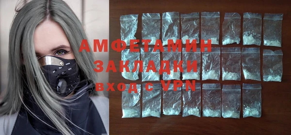 стаф Алзамай